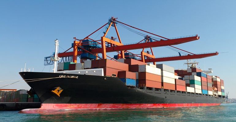 Sea Freight / Cargo Shipping